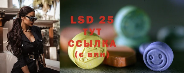 ECSTASY Кукмор