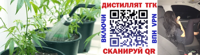 Купить закладки  Благодарный  ТГК вейп с тгк 