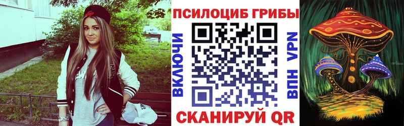 Купить где  Благодарный  Псилоцибиновые грибы GOLDEN TEACHER 